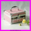 Pragmatic and Lovely Pink Aliminum Cosmetic Case