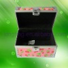 Pretty and Exquisite Cosmetic Case