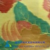 Printed Warp Fabric/Fabric/Fashionable Fabric/Polyester Fabric/Curtain Fabric