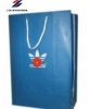 Printing bags for garment