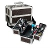 Pro Makeup Train Case