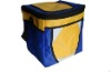 Promotion Cooler bag 2011 outdoor folding cooler bag