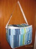 Promotion Cooler bag 2011 outdoor folding cooler bag