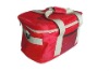 Promotion Cooler bag 2011 outdoor folding cooler bag