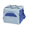 Promotion Cooler bag/Ice bag/Cool bag DT-B1251