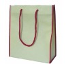 Promotion Non woven bag