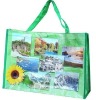 Promotion PP Woven Bag with Handle
