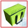 Promotion PP woven insulated bag