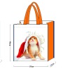 Promotion Shopping bag