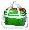 Promotion insulated cooler bags