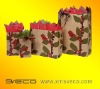 Promotion kraft paper bag