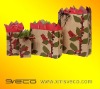 Promotion kraft paper bag