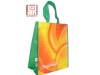 Promotion pp non woven bag