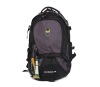 Promotion sport backpack of dacron 600d