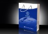 Promotional Coated Paper Bag