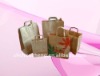 Promotional Customized Kraft Paper Bag