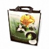 Promotional Eco Friendly Non Woven Shopping Bag (glt-a0032)