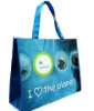 Promotional Laminated bag,non woven shopping bag