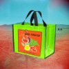 Promotional Non Woven Carrier