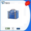 Promotional Non-woven camping cooler bag(YD-L05-A2)