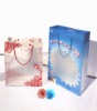 Promotional PP Gift Bag with UV printing