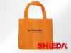 Promotional PP Non Woven Grocery bag