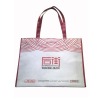 Promotional PP Nonwoven Bag