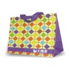 Promotional PP Woven Beach Bags