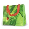 Promotional PP Woven Beach Bags
