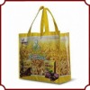 Promotional PP shopping bag