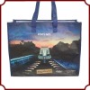 Promotional PP woven shopping bag