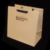 Promotional Paper Bag (Item No.DYP300)