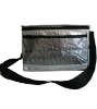 Promotional Picnic Cooler Bag