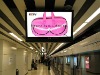 Promotional bag for bras