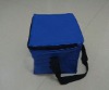 Promotional cooler bag for frozen food