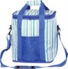 Promotional cooler bags