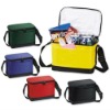 Promotional cooler picnic bag for food and drink