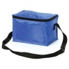 Promotional environment-friendly cooler bags