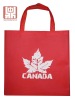 Promotional non woven bag