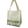 Promotional non woven gift bag