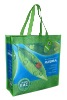 Promotional non woven shopping bag