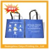 Promotional nonwoven bag