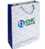 Promotional paper gift bag