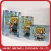 Promotional paper gift bag