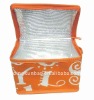 Promotional portability cooler bag for lunch