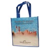 Promotional pp woven bag