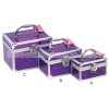 Purple Acrylic Vanity Case