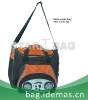 Radio cooler bag