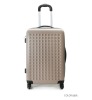 Reborn PC Trolley Luggage