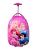 Reborn children luggage